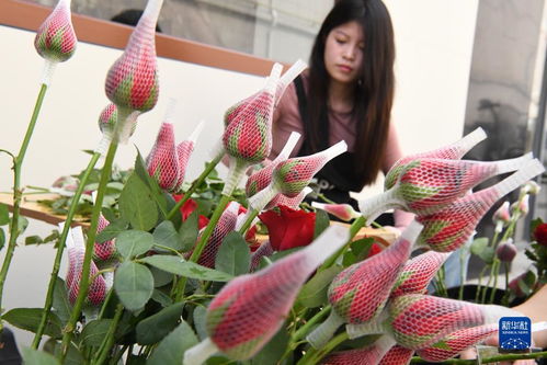 七夕 将至 鲜花俏销